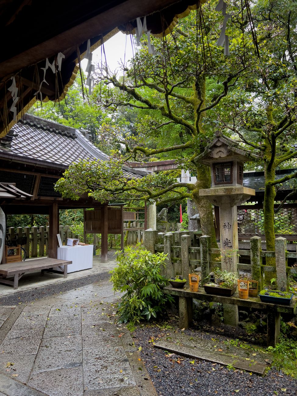 Traditional Japanese wooden temple garden and moss path